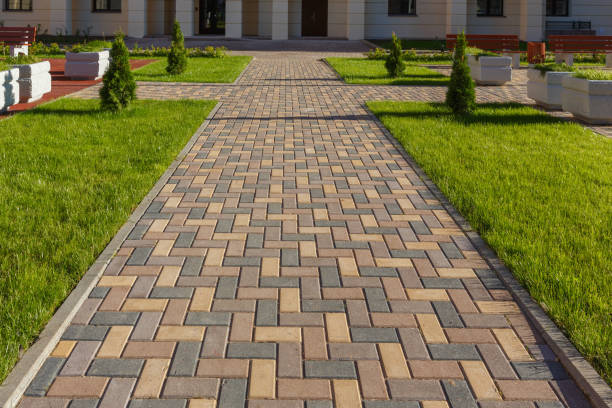 Best Driveway Paving Contractor  in South Park, WY