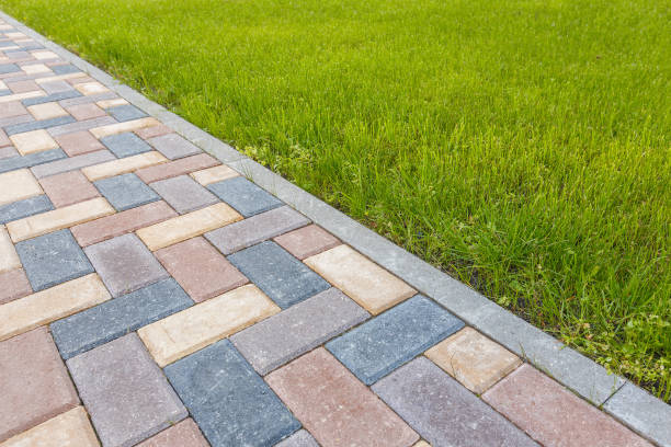 Best Professional Driveway Pavers  in South Park, WY